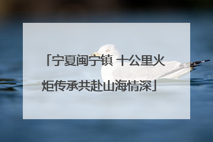 宁夏闽宁镇 十公里火炬传承共赴山海情深
