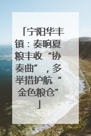 宁阳华丰镇：奏响夏粮丰收“协奏曲”，多举措护航“金色粮仓”