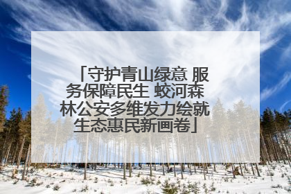 守护青山绿意 服务保障民生 蛟河森林公安多维发力绘就生态惠民新画卷