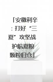 安徽利辛：打好“三夏”攻坚战 护航夏粮颗粒归仓