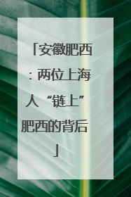 安徽肥西：两位上海人“链上”肥西的背后