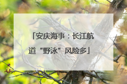 安庆海事：长江航道“野泳”风险多
