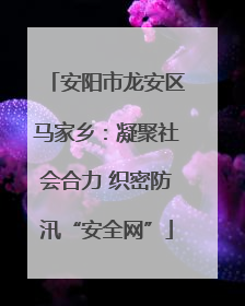 安阳市龙安区马家乡：凝聚社会合力 织密防汛“安全网”