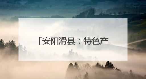 安阳滑县：特色产业绘就乡村图景