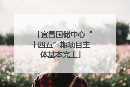 宜昌国储中心“十四五”期项目主体基本完工