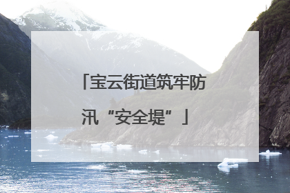 宝云街道筑牢防汛“安全堤”
