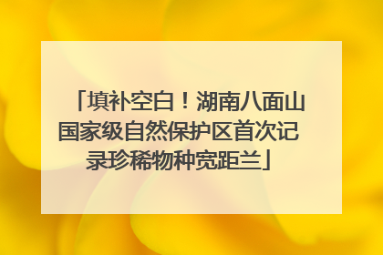 填补空白！湖南八面山国家级自然保护区首次记录珍稀物种宽距兰