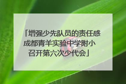 增强少先队员的责任感 成都青羊实验中学附小召开第六次少代会