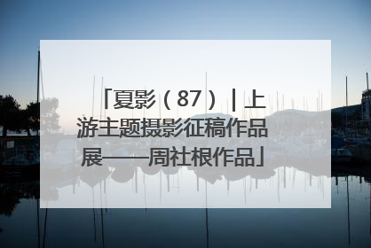 夏影（87）｜上游主题摄影征稿作品展——周社根作品