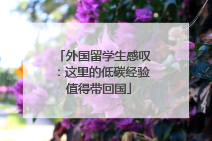 外国留学生感叹：这里的低碳经验值得带回国