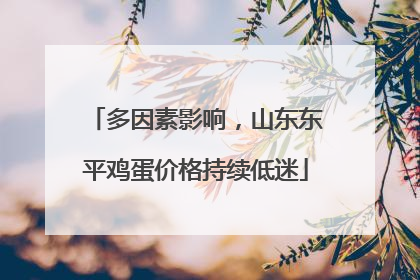 多因素影响，山东东平鸡蛋价格持续低迷