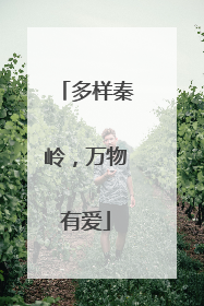 多样秦岭，万物有爱