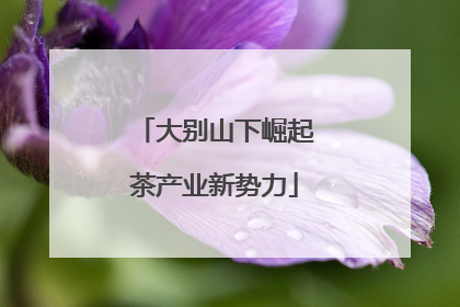 大别山下崛起茶产业新势力