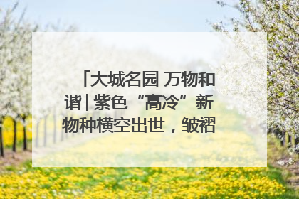 大城名园 万物和谐│紫色“高冷”新物种横空出世，皱褶叶片暗藏进化密码