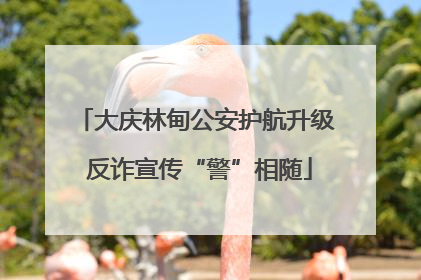 大庆林甸公安护航升级 反诈宣传“警”相随