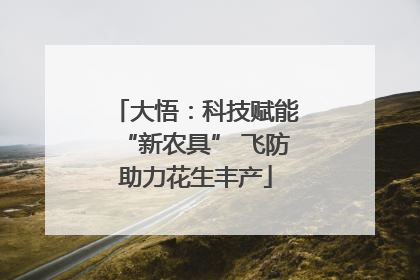 大悟：科技赋能“新农具” 飞防助力花生丰产
