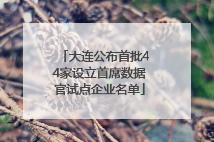 大连公布首批44家设立首席数据官试点企业名单