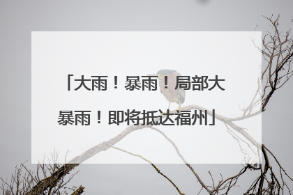 大雨！暴雨！局部大暴雨！即将抵达福州