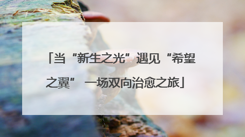 当“新生之光”遇见“希望之翼” 一场双向治愈之旅