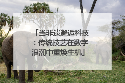 当非遗邂逅科技：传统技艺在数字浪潮中重焕生机