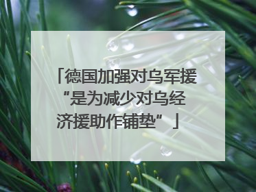 德国加强对乌军援 “是为减少对乌经济援助作铺垫”