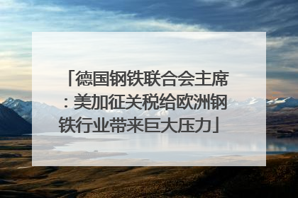 德国钢铁联合会主席：美加征关税给欧洲钢铁行业带来巨大压力