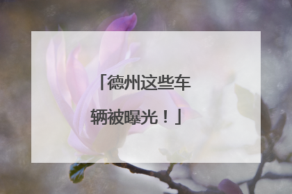 德州这些车辆被曝光！