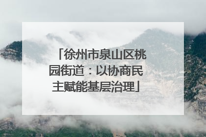 徐州市泉山区桃园街道：以协商民主赋能基层治理