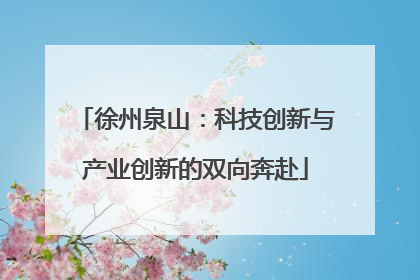 徐州泉山：科技创新与产业创新的双向奔赴
