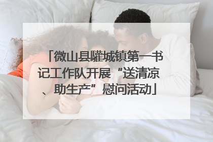 微山县驩城镇第一书记工作队开展“送清凉、助生产”慰问活动