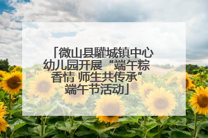 微山县驩城镇中心幼儿园开展“端午粽香情 师生共传承”端午节活动
