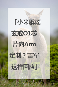 小米辟谣玄戒O1芯片向Arm定制？雷军这样回应