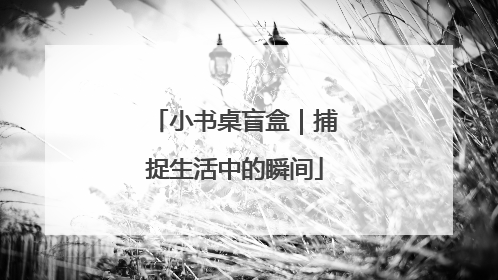 小书桌盲盒｜捕捉生活中的瞬间