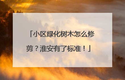 小区绿化树木怎么修剪？淮安有了标准！