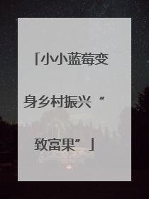 小小蓝莓变身乡村振兴“致富果”