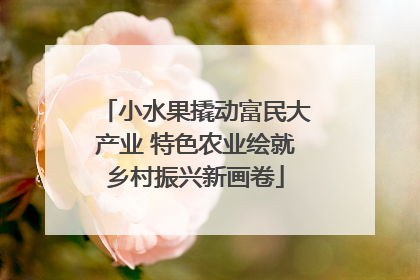 小水果撬动富民大产业 特色农业绘就乡村振兴新画卷