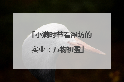 小满时节看潍坊的实业：万物初盈