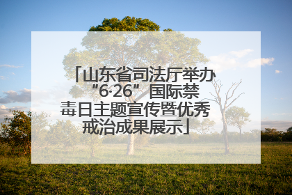 山东省司法厅举办“6·26”国际禁毒日主题宣传暨优秀戒治成果展示