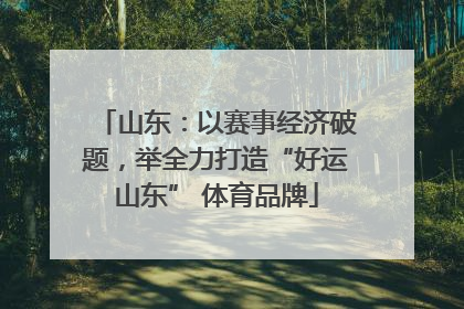 山东：以赛事经济破题，举全力打造“好运山东” 体育品牌