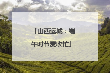 山西运城：端午时节麦收忙