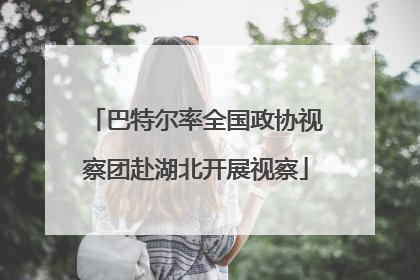 巴特尔率全国政协视察团赴湖北开展视察