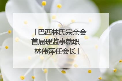 巴西林氏宗亲会首届理监事就职 林伟萍任会长