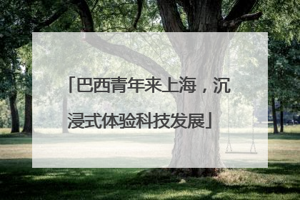 巴西青年来上海，沉浸式体验科技发展