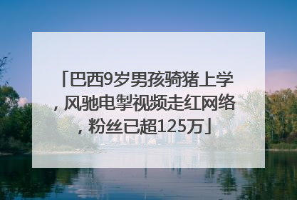巴西9岁男孩骑猪上学，风驰电掣视频走红网络，粉丝已超125万