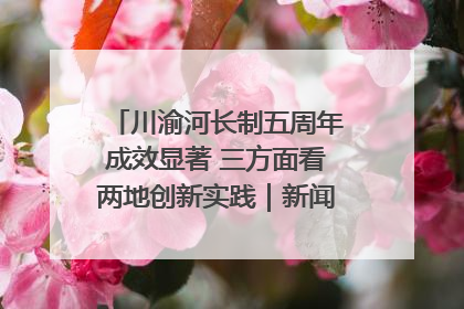 川渝河长制五周年成效显著 三方面看两地创新实践｜新闻发布最前线