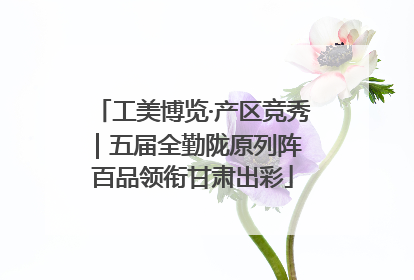 工美博览·产区竞秀｜五届全勤陇原列阵 百品领衔甘肃出彩
