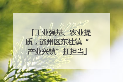 工业强基、农业提质，通州区东社镇“产业兴镇”扛担当