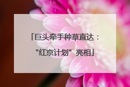 巨头牵手种草直达：“红京计划”亮相