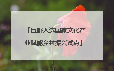 巨野入选国家文化产业赋能乡村振兴试点
