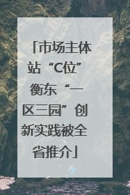 市场主体站“C位” 衡东“一区三园”创新实践被全省推介
